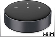 Wiim Mini